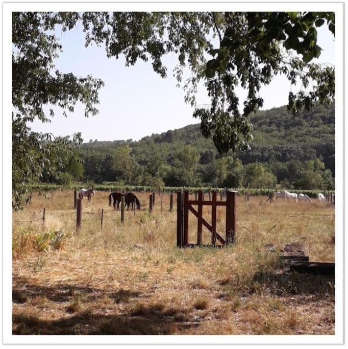 Charming Small House Close To Uzes Foissac  Εξωτερικό φωτογραφία